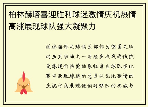 柏林赫塔喜迎胜利球迷激情庆祝热情高涨展现球队强大凝聚力