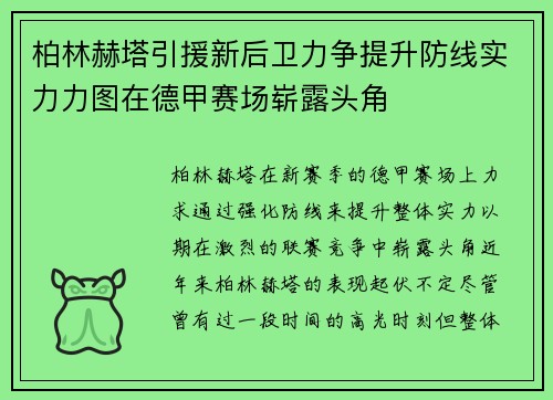 柏林赫塔引援新后卫力争提升防线实力力图在德甲赛场崭露头角